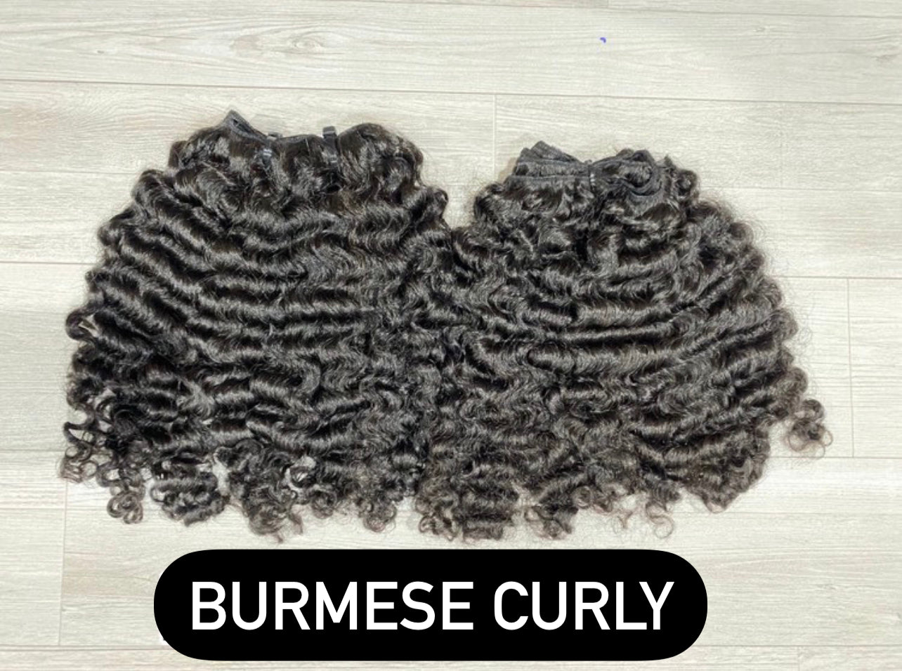 RAW BURMESE CURLY